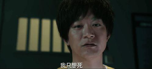 娱乐区吃瓜现状,揭秘明星隐私与粉丝狂欢的边界