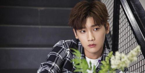 娱乐圈吃瓜爆料卢洋洋,揭秘背后真相与争议