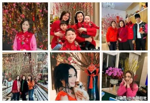 新年娱乐圈吃瓜爆料,明星幕后故事与惊人爆料